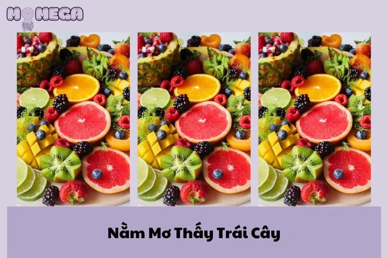 nam-mo-thay-trai-cay-giai-ma-y-nghia-va-diem-bao-chi-tiet