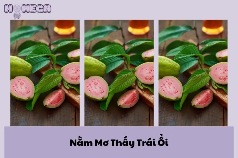 nam-mo-thay-trai-oi-y-nghia-hanh-dong-con-so-may-man