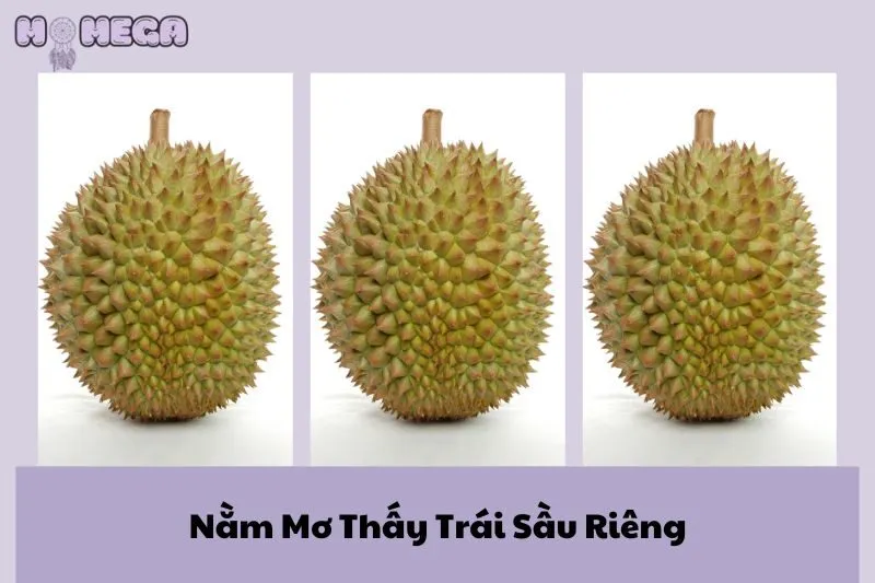 nam-mo-thay-trai-sau-rieng-y-nghia-va-cac-con-so-may-man