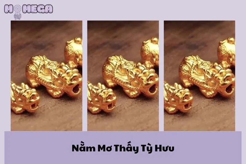 nam-mo-thay-ty-huu-y-nghia-phong-thuy-va-diem-bao-tai-loc