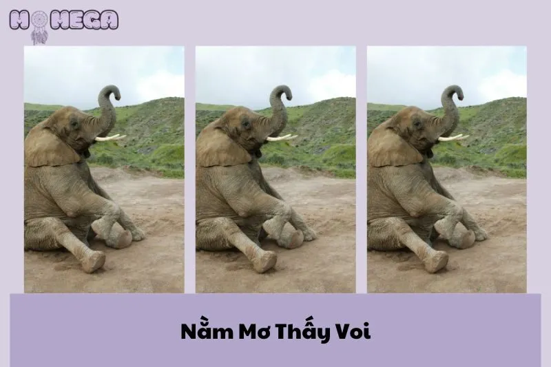 nam-mo-thay-voi-giai-ma-diem-bao-va-con-so-may-man-2024