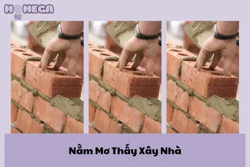 nam-mo-thay-xay-nha-y-nghia-diem-bao-va-con-so-may-man