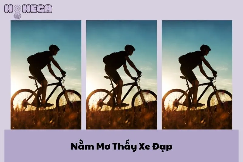 nam-mo-thay-xe-dap-diem-bao-tot-hay-xau-nen-danh-con-gi