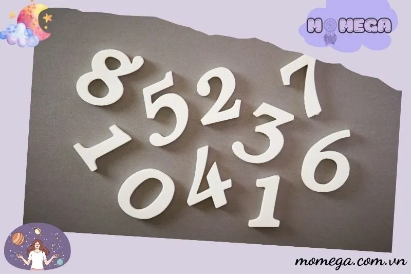 nhung-con-so-may-man-khi-mo-thay-danh-nhau