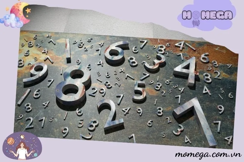 nhung-con-so-may-man-lien-quan-den-giac-mo-bi-ruot-duoi