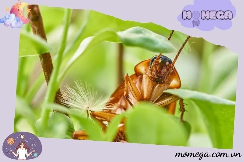 nhung-dau-hieu-tam-linh-va-suc-manh-noi-tam-trong-giac-mo-thay-gian