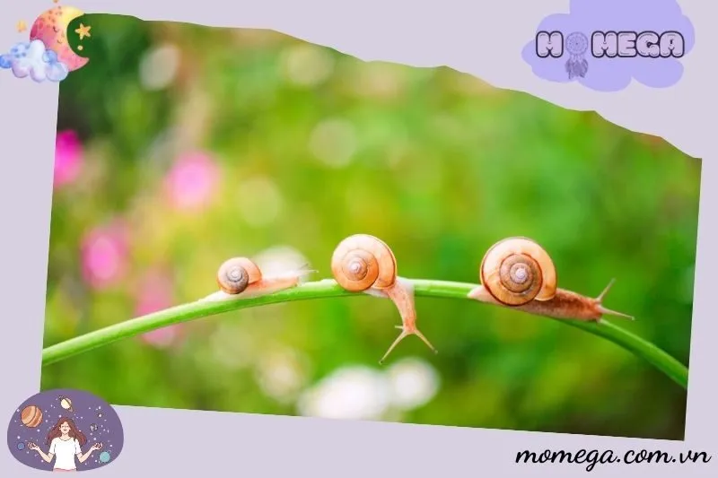 nhung-dau-hieu-tich-cuc-va-tieu-cuc-tu-giac-mo-ve-oc