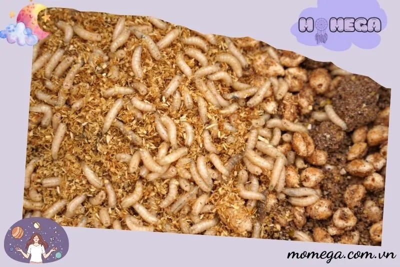 nhung-truong-hop-cu-the-khi-mo-thay-doi-va-y-nghia-cua-chung