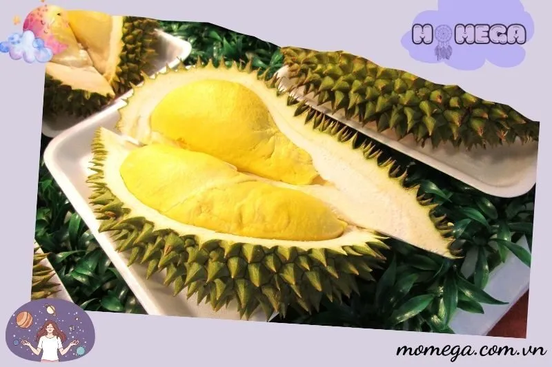 tinh-yeu-va-cac-moi-quan-he-trong-giac-mo-sau-rieng