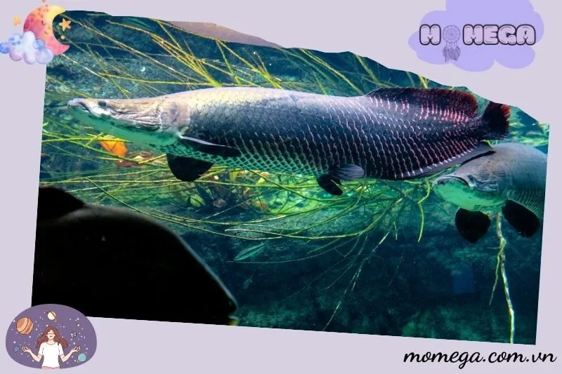 y-nghia-chi-tiet-khi-mo-thay-cac-tinh-huong-cu-the-ve-ca-hai-tuong