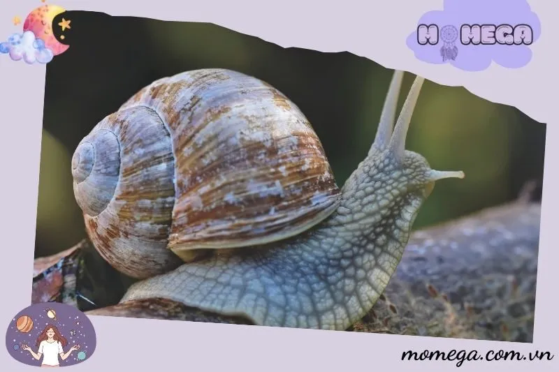 y-nghia-cua-viec-nam-mo-thay-oc-la-gi