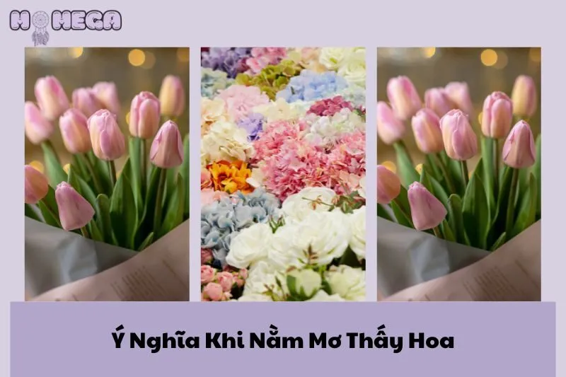 y-nghia-khi-nam-mo-thay-hoa-nhung-diem-bao-va-thong-diep-quan-trong