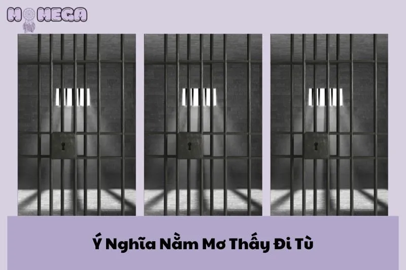 y-nghia-nam-mo-thay-di-tu-diem-bao-va-cac-con-so-may-man