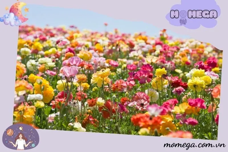 y-nghia-tung-loai-hoa-trong-giac-mo-su-khac-biet-va-nhung-dieu-can-biet