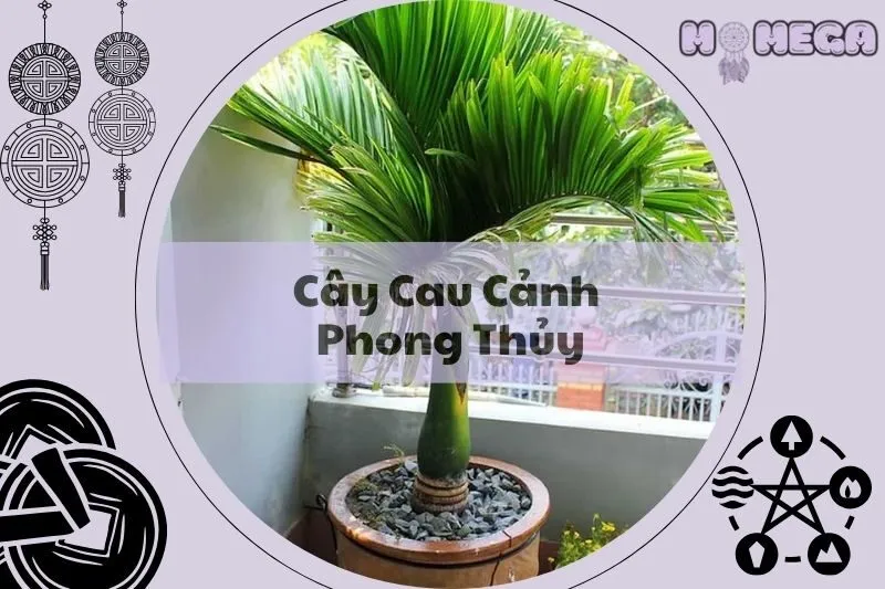 cay-cau-canh-phong-thuy-y-nghia-va-loi-ich-doc-dao