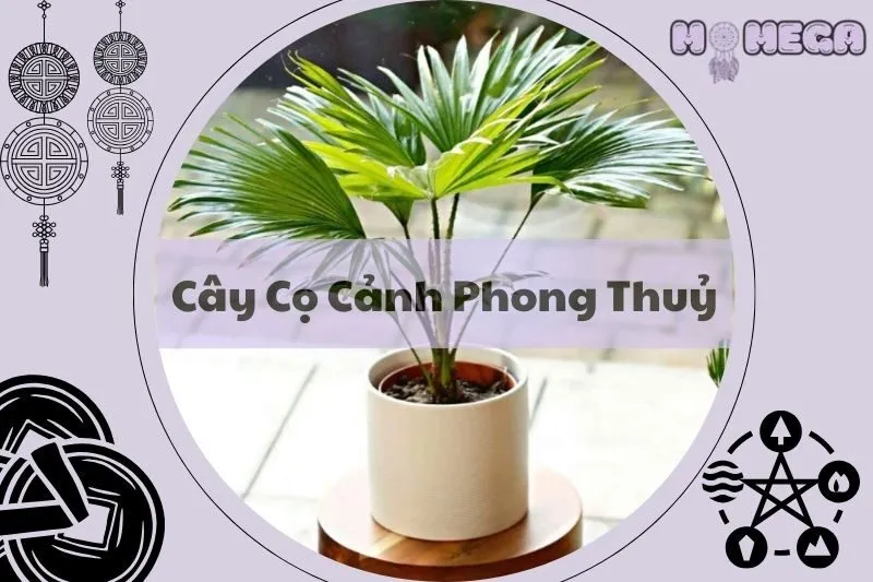 cay-co-canh-phong-thuy-bi-quyet-mang-lai-tai-loc-va-may-man-cho-gia-chu