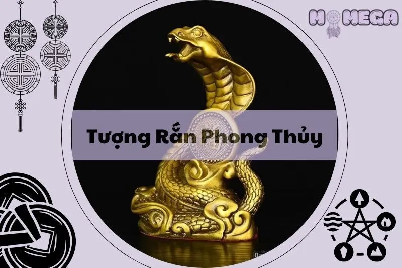 kham-pha-tuong-ran-phong-thuy-y-nghia-va-cach-bai-tri-dung