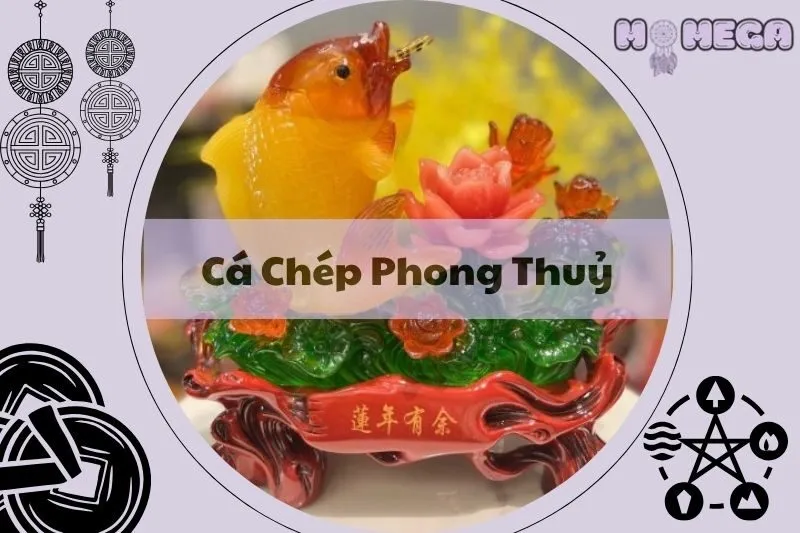 kham-pha-y-nghia-va-cach-bai-tri-ca-chep-phong-thuy-dung-chuan
