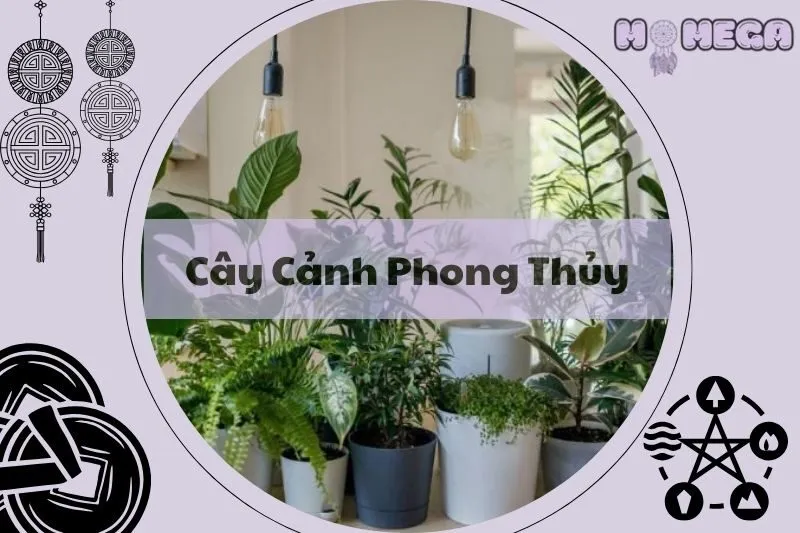 top-15-cay-canh-phong-thuy-mang-tai-loc-va-may-man-cho-khong-gian-song