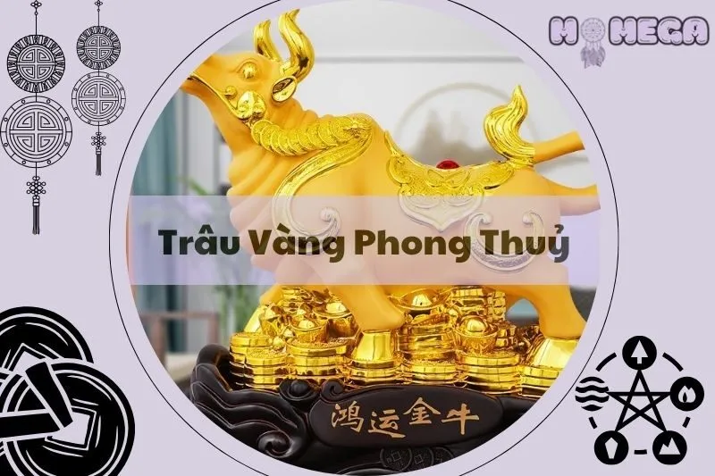 trau-vang-phong-thuy-y-nghia-cach-bai-tri-hop-phong-thuy