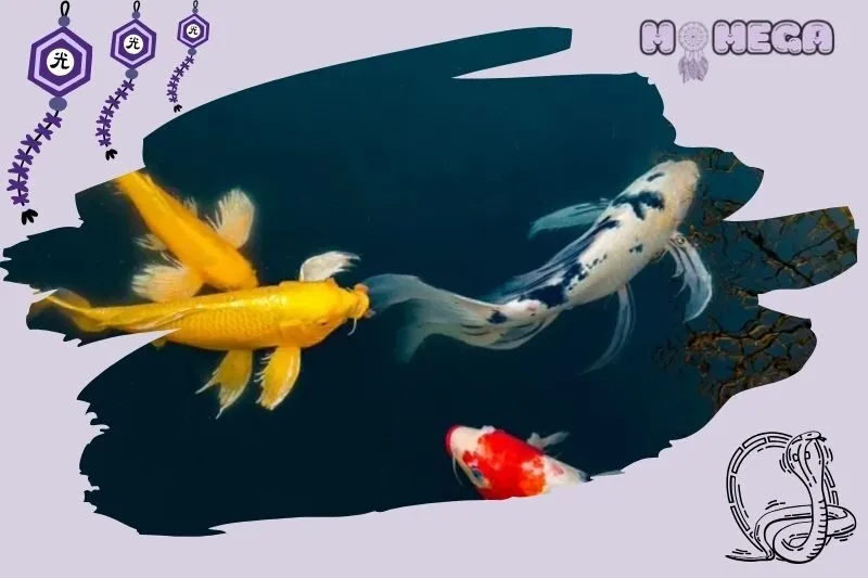 tuong-ca-koi