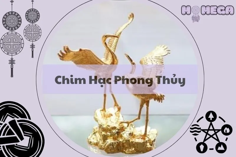 y-nghia-chim-hac-phong-thuy-linh-vat-mang-lai-may-man