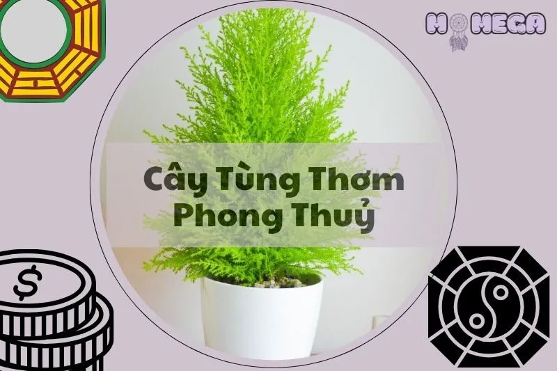 cay-tung-thom-phong-thuy-y-nghia-cach-trong-va-cham-soc
