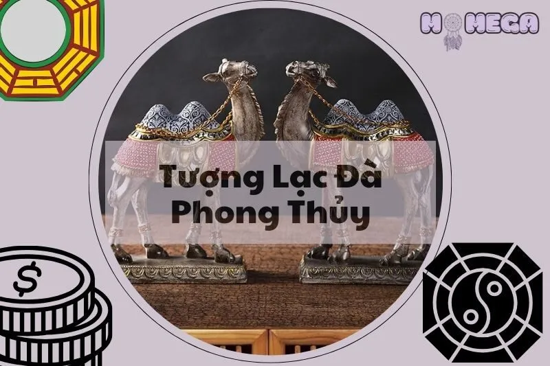 tuong-lac-da-phong-thuy-y-nghia-cach-dat-loi-ich-tam-linh