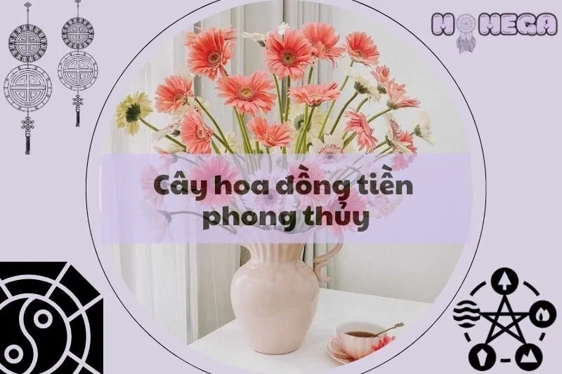 cay-hoa-dong-tien-phong-thuy-y-nghia-hop-menh-va-cach-cham-soc