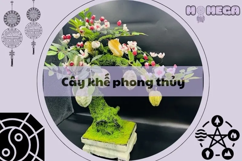cay-khe-phong-thuy-y-nghia-va-vi-tri-trong-tot-nhat-cho-tai-loc