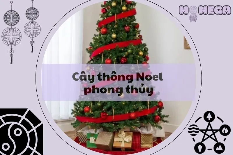 cay-thong-noel-phong-thuy-y-nghia-va-loi-ich-khong-ngo